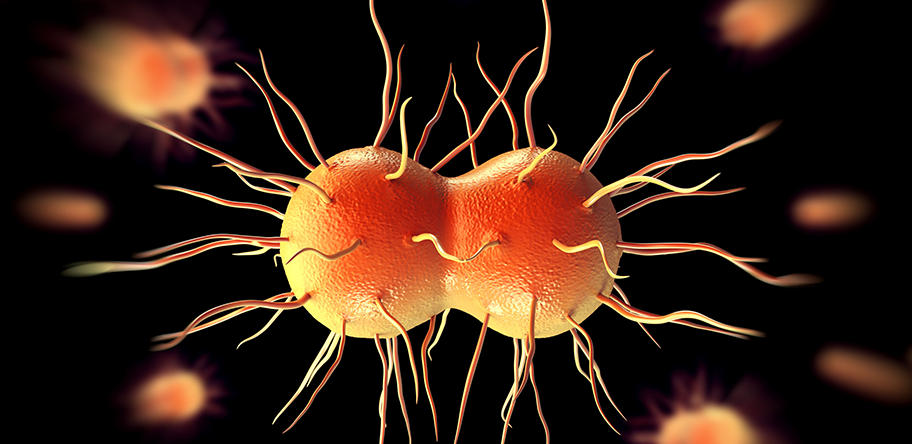 gonorrhoea