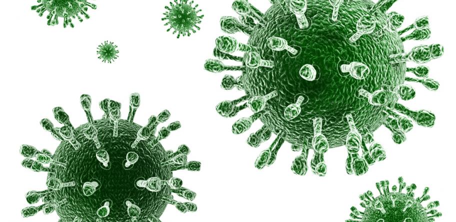 Rotavirus