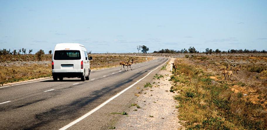 rural road