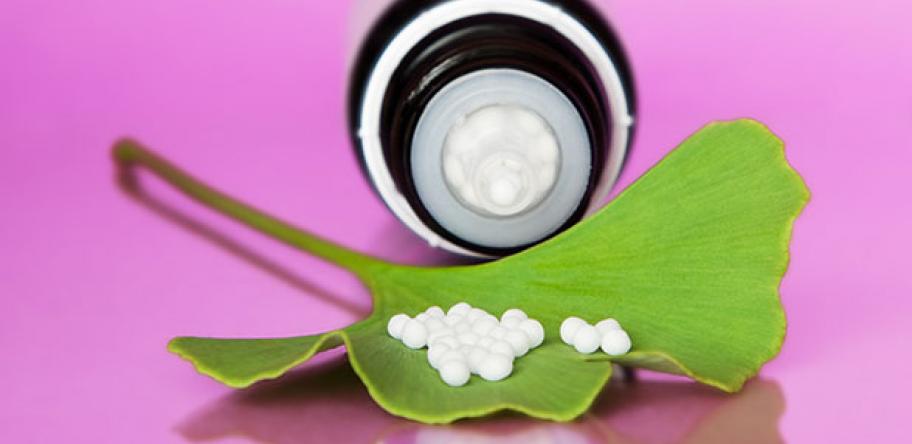 gingko extract