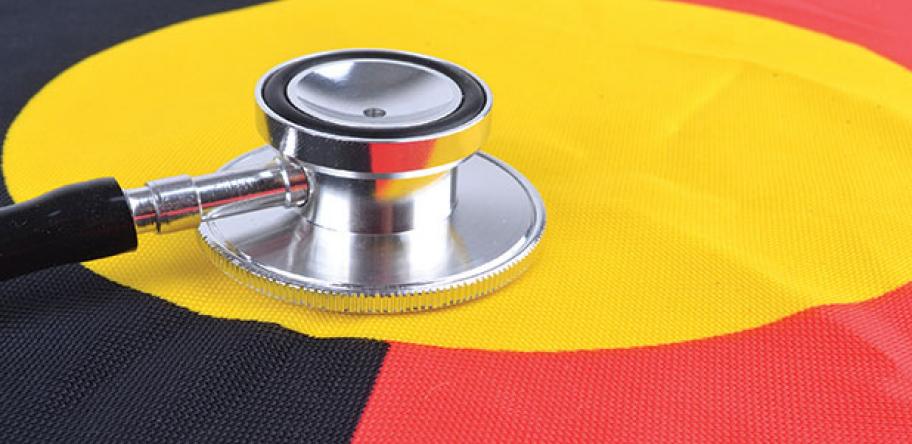 indigenous flag