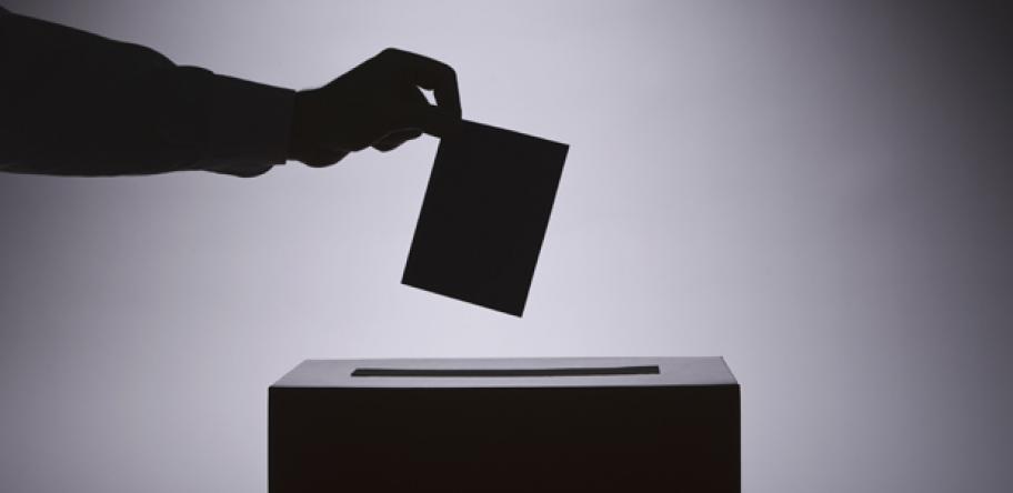Voter